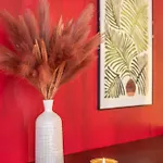 Oasis Centre Appartement